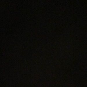 Meet your Posher, Max